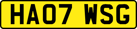 HA07WSG