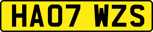 HA07WZS