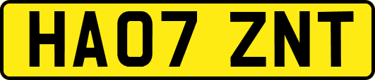HA07ZNT