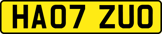 HA07ZUO