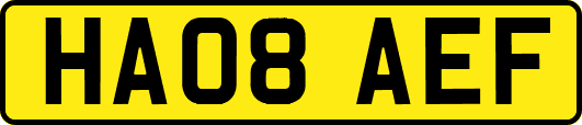HA08AEF