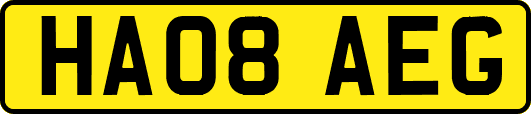 HA08AEG