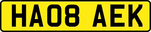 HA08AEK