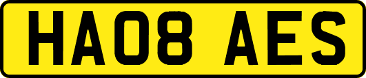 HA08AES