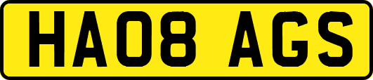 HA08AGS