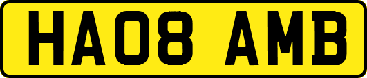 HA08AMB