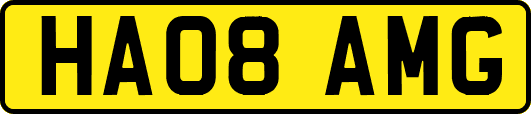 HA08AMG