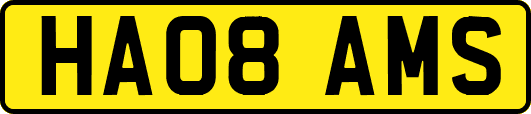 HA08AMS