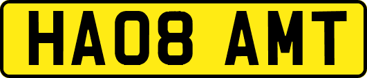 HA08AMT