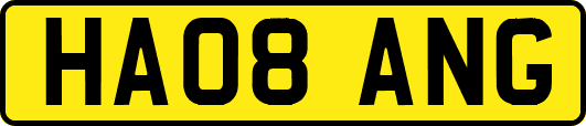 HA08ANG
