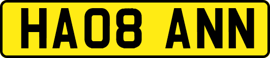HA08ANN