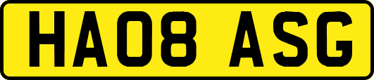 HA08ASG