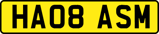 HA08ASM