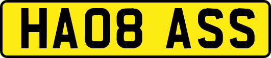 HA08ASS