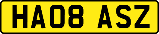 HA08ASZ