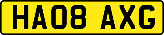 HA08AXG