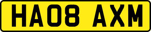 HA08AXM
