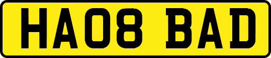 HA08BAD