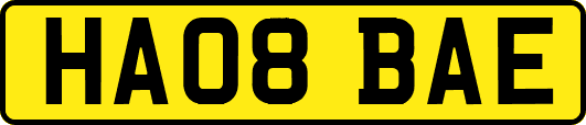 HA08BAE
