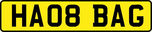 HA08BAG