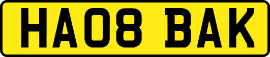 HA08BAK