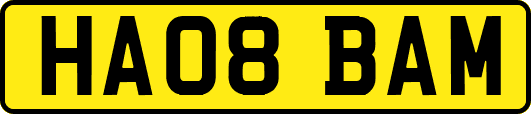 HA08BAM