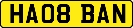HA08BAN