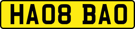 HA08BAO
