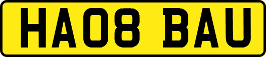 HA08BAU