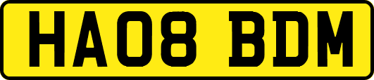 HA08BDM