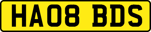 HA08BDS