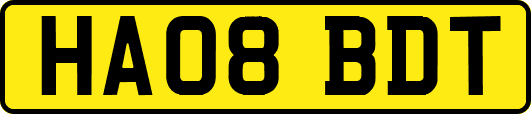HA08BDT