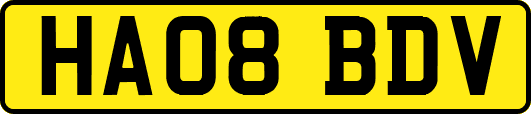 HA08BDV