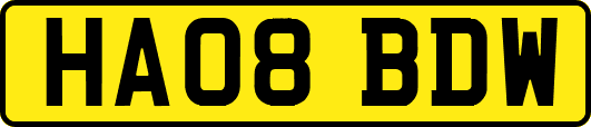 HA08BDW