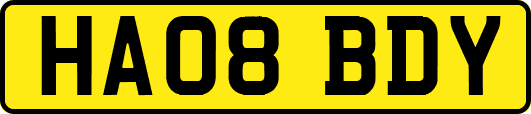HA08BDY