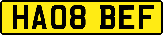 HA08BEF