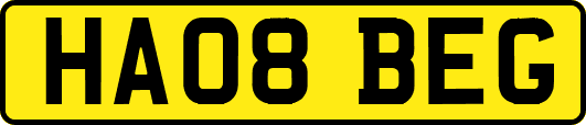 HA08BEG