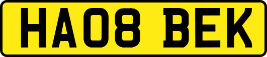 HA08BEK