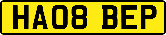 HA08BEP