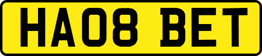 HA08BET