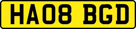HA08BGD