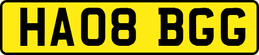 HA08BGG