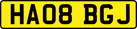 HA08BGJ