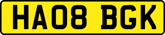 HA08BGK