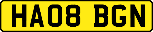 HA08BGN