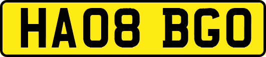 HA08BGO