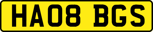 HA08BGS