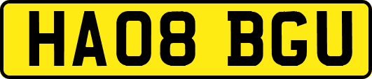 HA08BGU