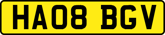 HA08BGV