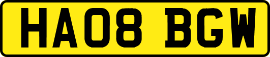 HA08BGW
